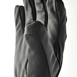 HESTRA All Mountain Czone 5-finger skihandske, herre (Black) Outlet