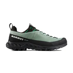 MAMMUT Alnasca IV Low GTX approachsko, herre (Deep Silver Sage / Pinea) Hot