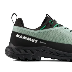 MAMMUT Alnasca IV Low GTX approachsko, herre (Deep Silver Sage / Pinea) Hot
