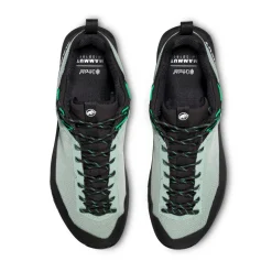 MAMMUT Alnasca IV Low GTX approachsko, herre (Deep Silver Sage / Pinea) Hot