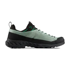 MAMMUT Alnasca IV Low GTX approachsko, herre (Deep Silver Sage / Pinea) Hot