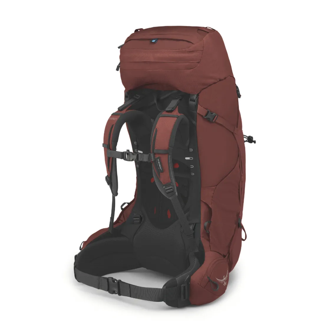 OSPREY Aether 65 L vandrerygsæk, herre (Deep Acorn) Outlet