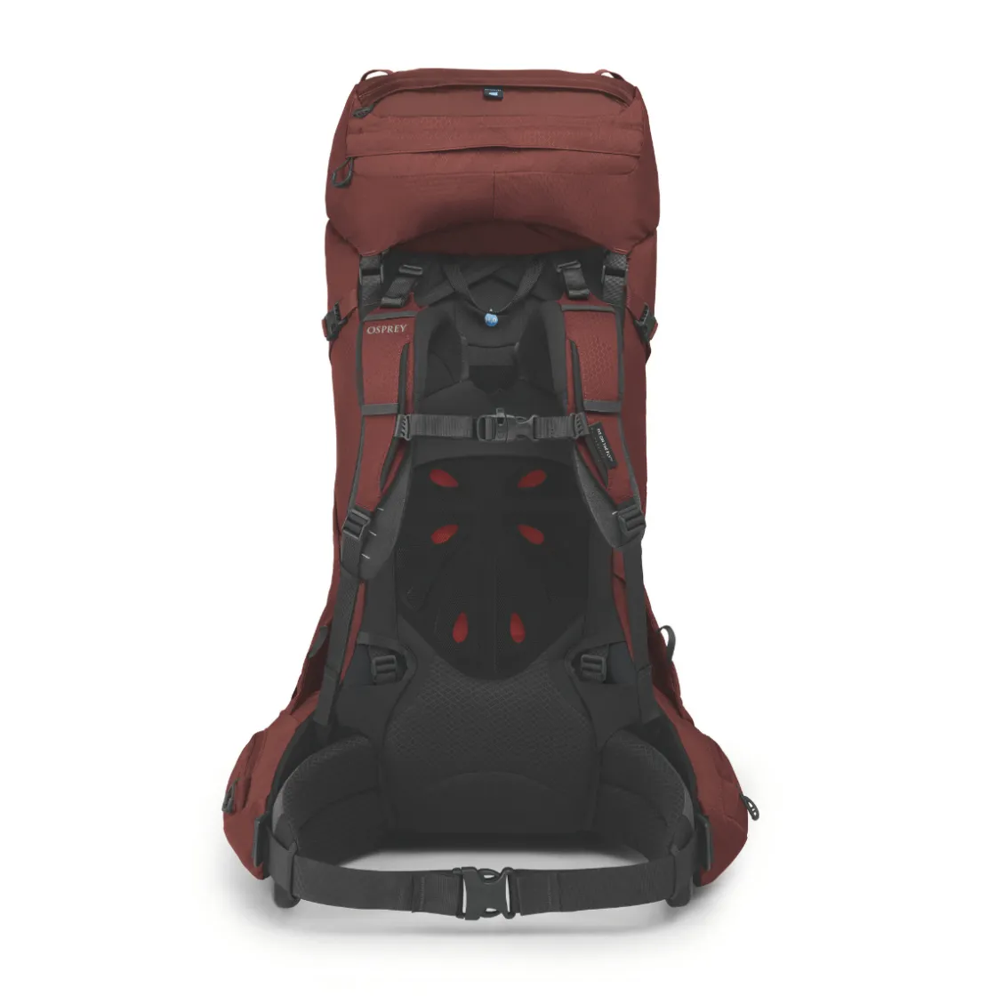 OSPREY Aether 65 L vandrerygsæk, herre (Deep Acorn) Outlet